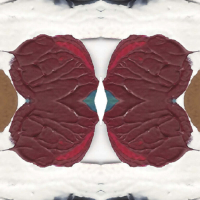 25 Paint Red Butterfly