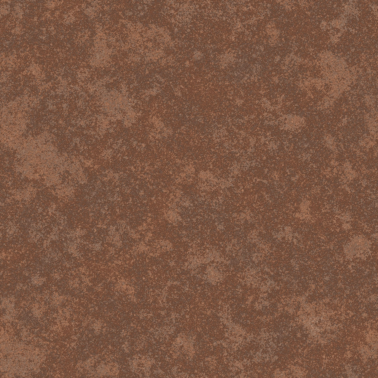 Rusted plate - Image 3