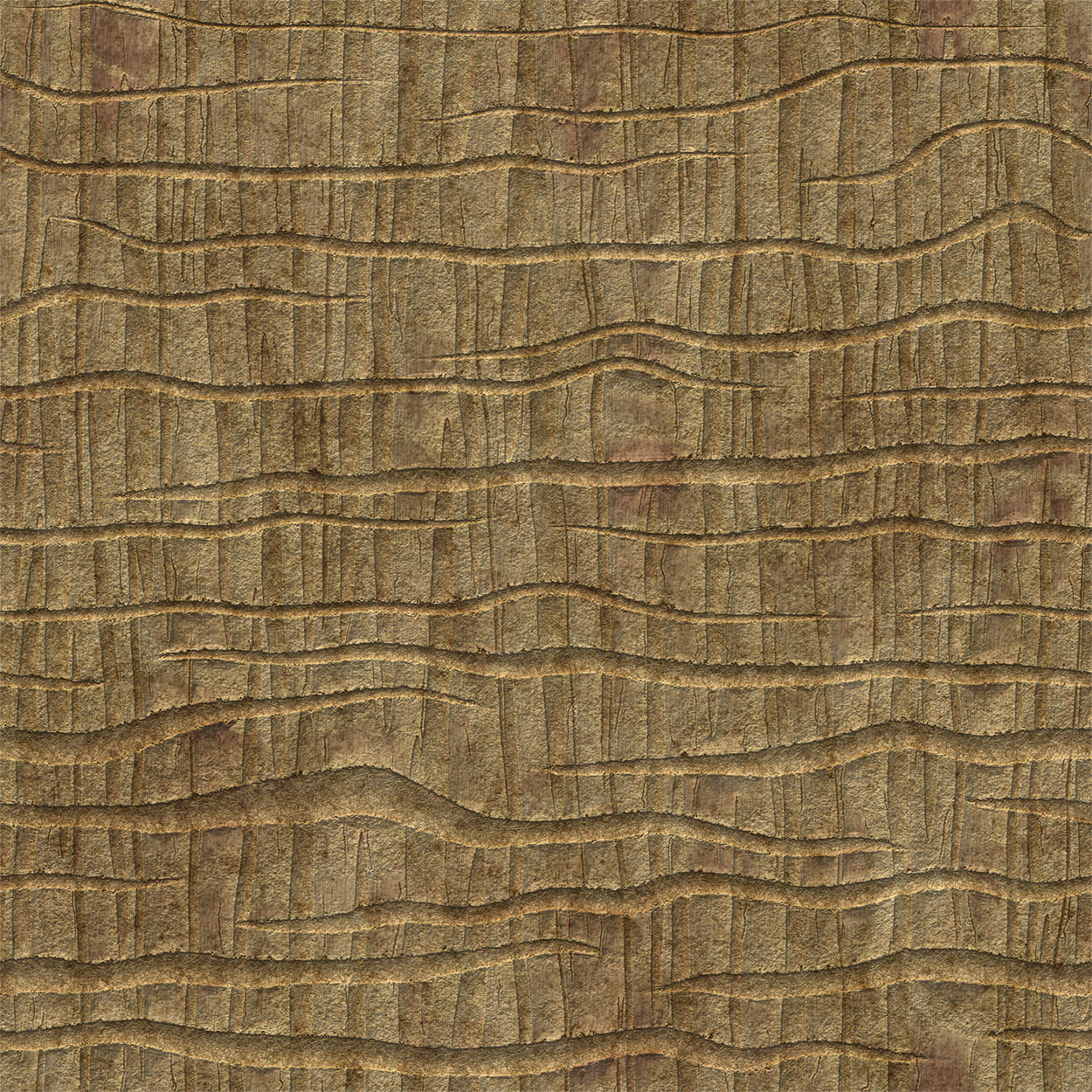 Dracaena stem - Image 3